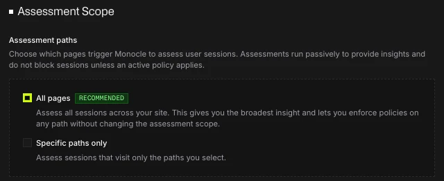 Assessment Scope with All pages selected